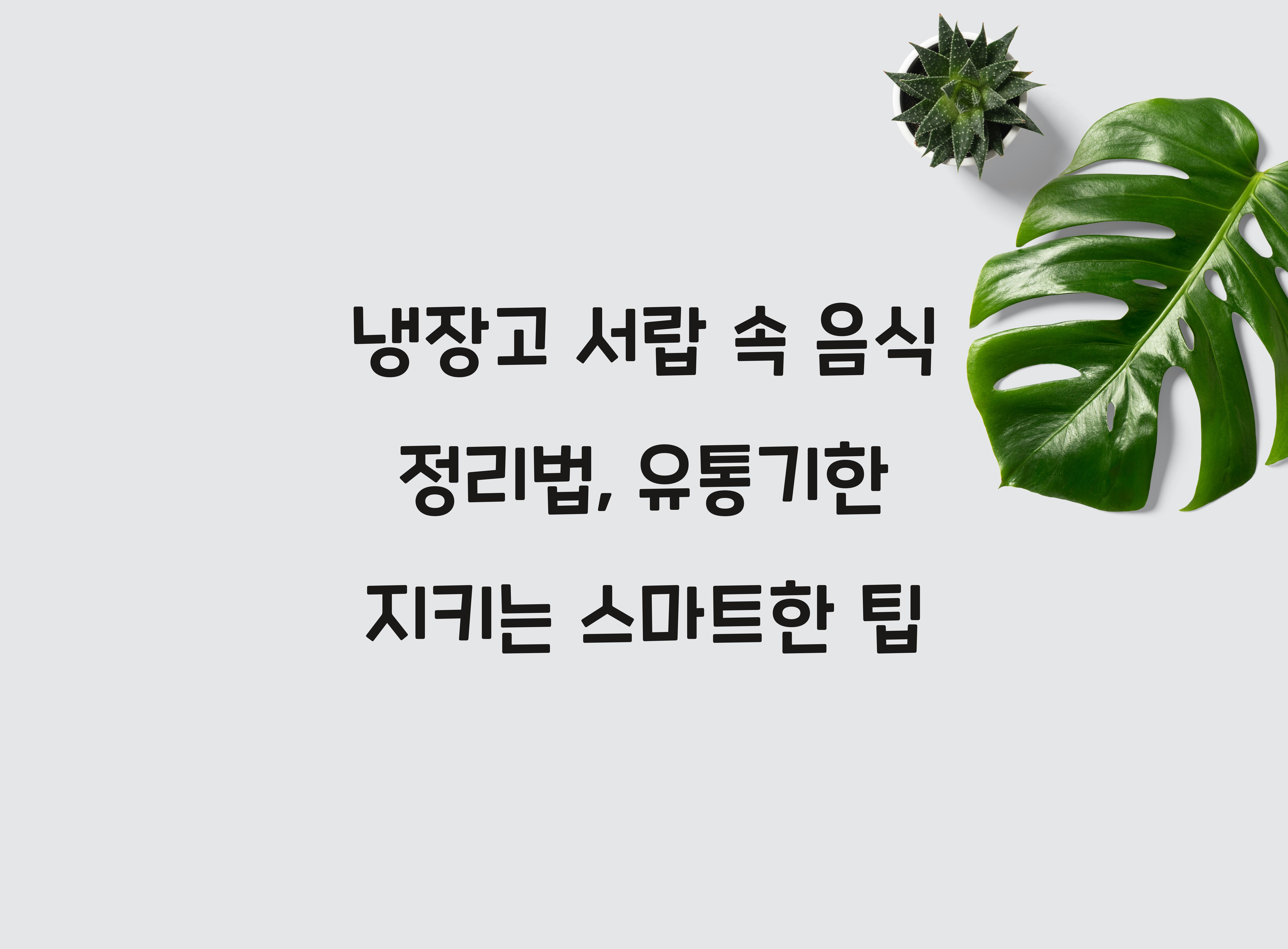 냉장고 서랍 속 음식 정리법