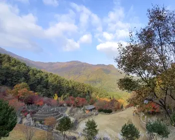 하동 삼성궁_6