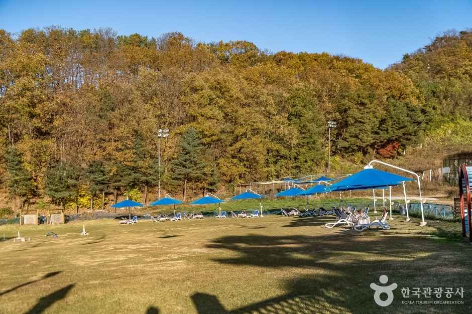 용인 양지파인펫파크