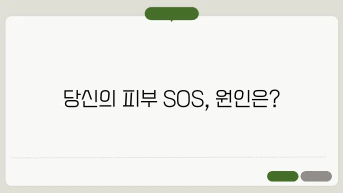 몸에 두드러기가 나는 이유 알아보기