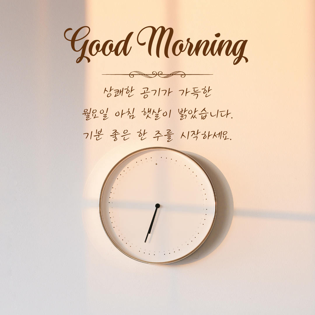 월요일 아침 인사말 이미지 문구 모음 글귀