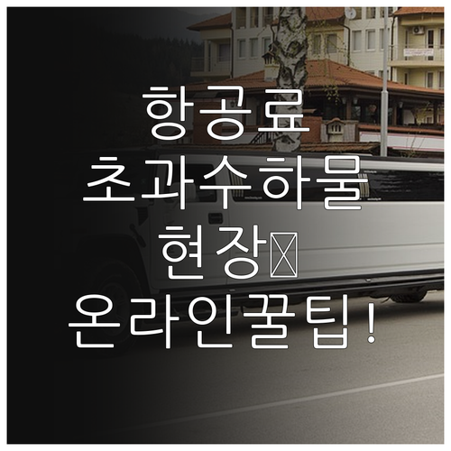 폴란드항공 초과 수하물 요금 공항 현..