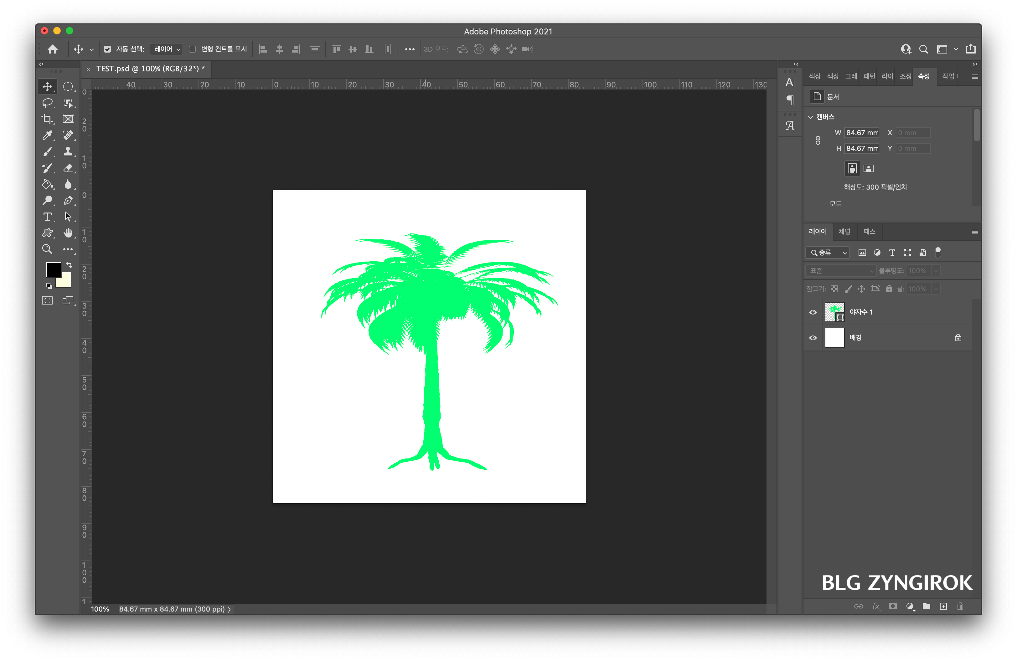외곽선이-복잡한-이미지가-포토샵에-열려있다.