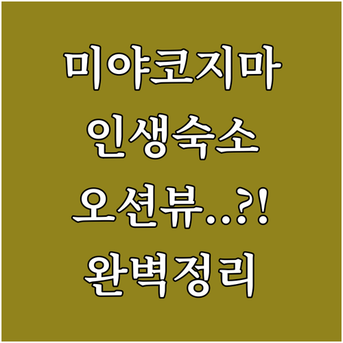미야코지마 호텔 4인 4색 비교 추천..