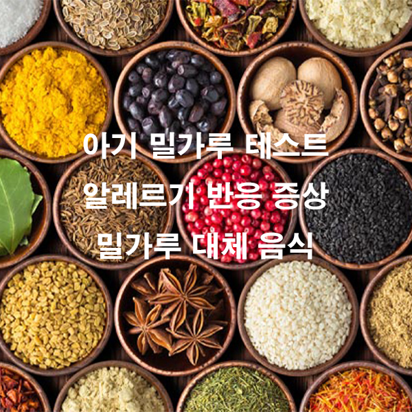 아기 밀가루 테스트 알레르기 반응 증상 밀가루 대체 음식