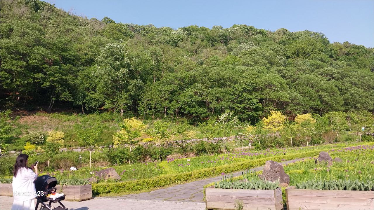 파주 율곡수목원 산책로