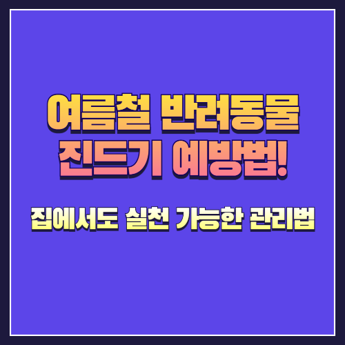 여름철 반려동물 진드기 예방법! 집에서도 실천 가능한 관리법