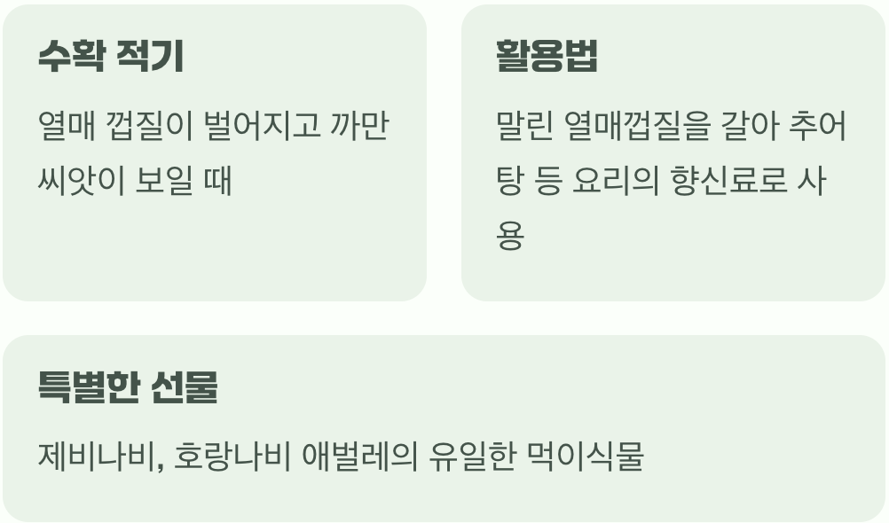 수확의 기쁨과 또 다른 선물