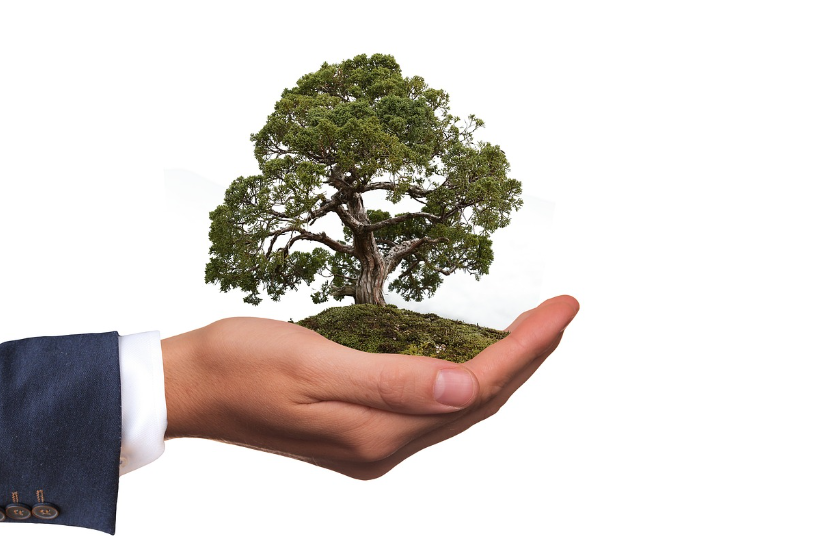 기후행동 기회소득