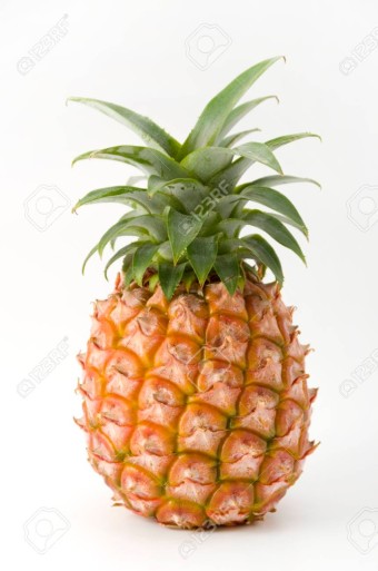 파인애플 효소의 효능과 후기