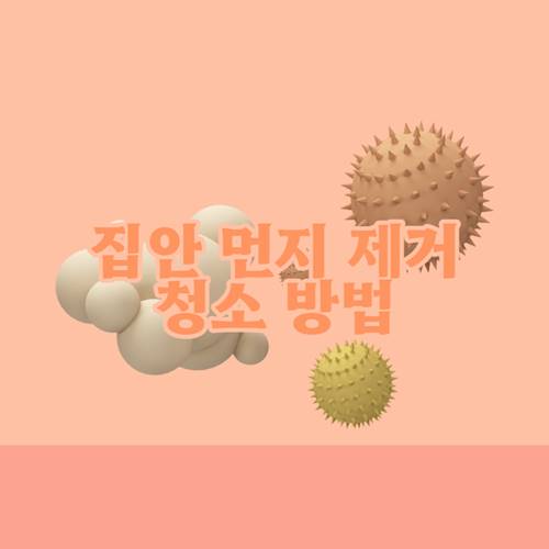 집안-먼지-제거-원인-청소-방법