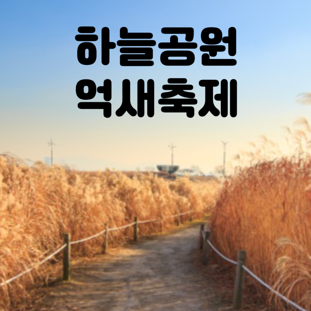 하늘공원 억새축제
