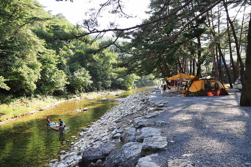 인생캠핑장, 영월 솔밭캠프장 소개