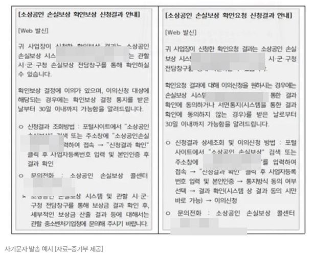 손실보전금