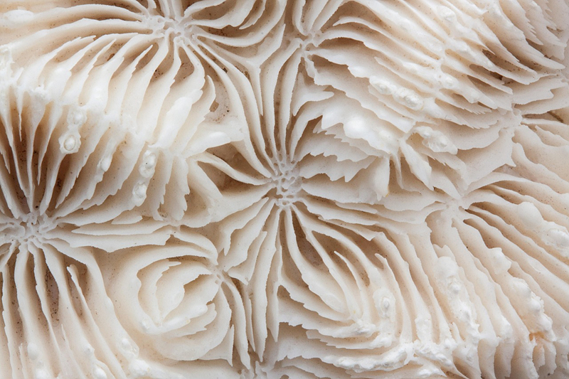 알츠하이머병의 증상, 진단, 예방 및 관리 방법