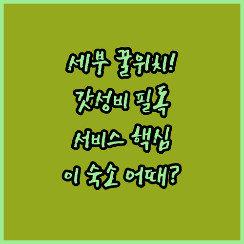 세부 호텔 추천 위치 가성비 서비스 ..
