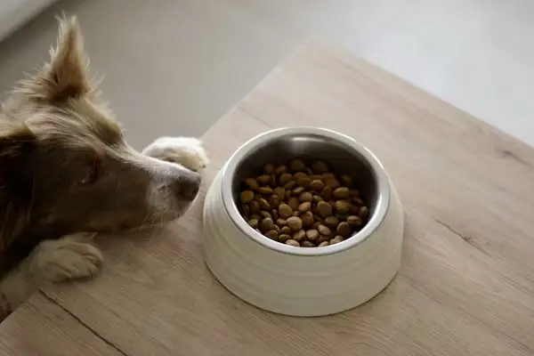 Hands preparing natural pet treats at home