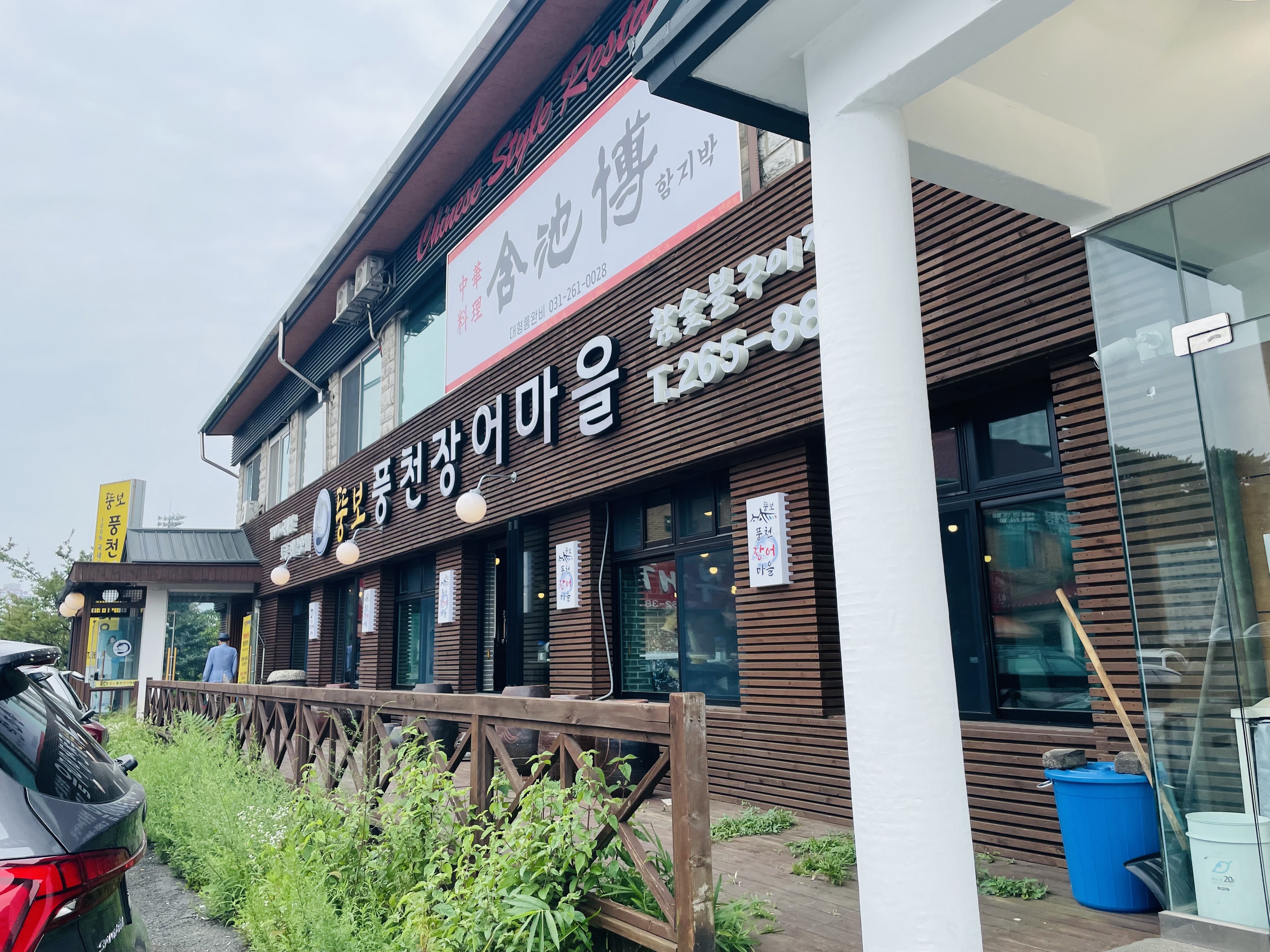 뚱보풍천장어