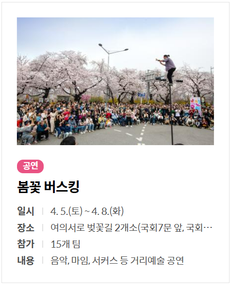 여의도 벚꽃축제 봄꽃 버스킹