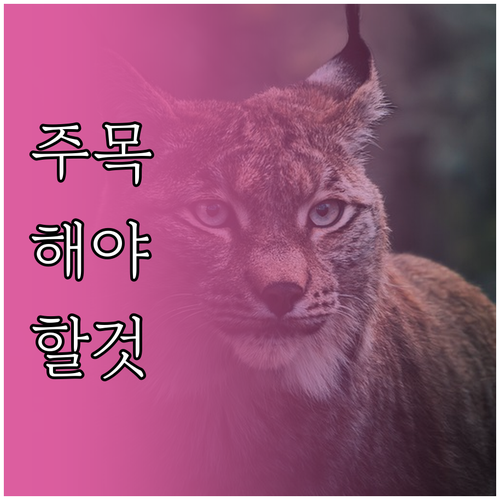 초음파 가열식 자연식 가습기 현명한 ..