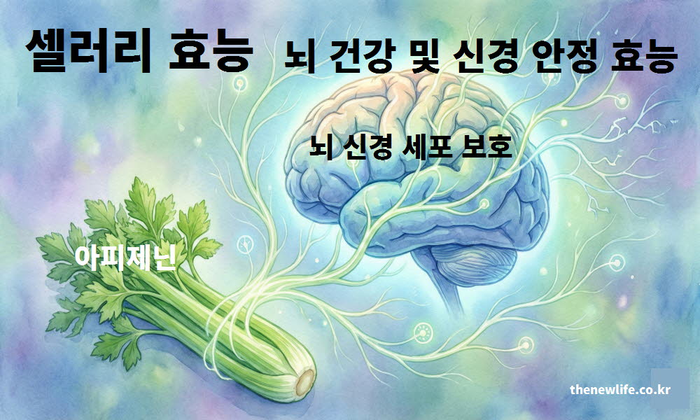 셀러리 효능이 뇌 건강을 돕고 신경 안정을 촉진하는 과정을 설명하는 이미지