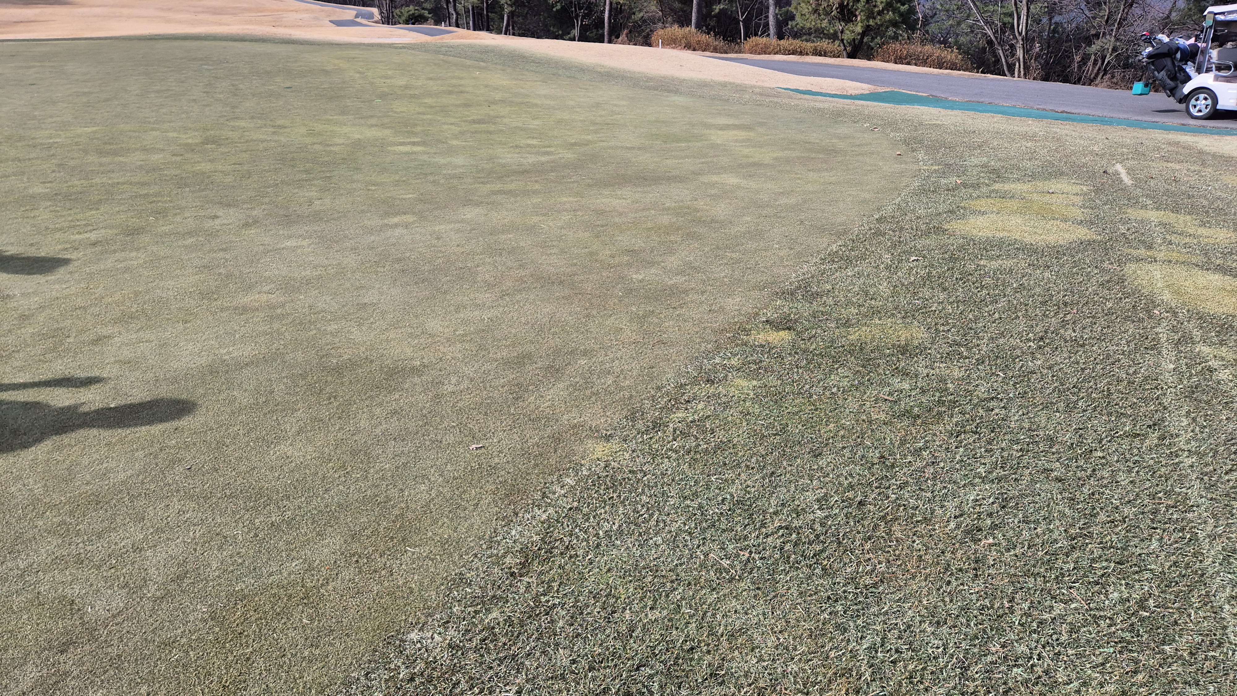 코리아cc 크리크-레이크 코스 그린 관리 상태