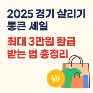 2025 경기 살리기 통큰 세일
