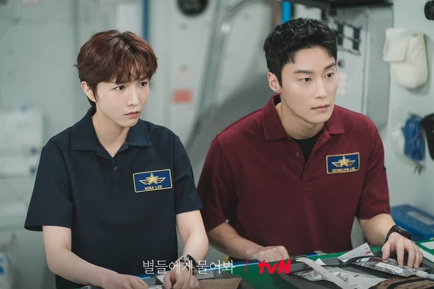 별들에게 물어봐