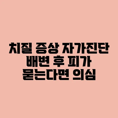치질 증상 자가진단 배변 후 피가 묻는다면 의심