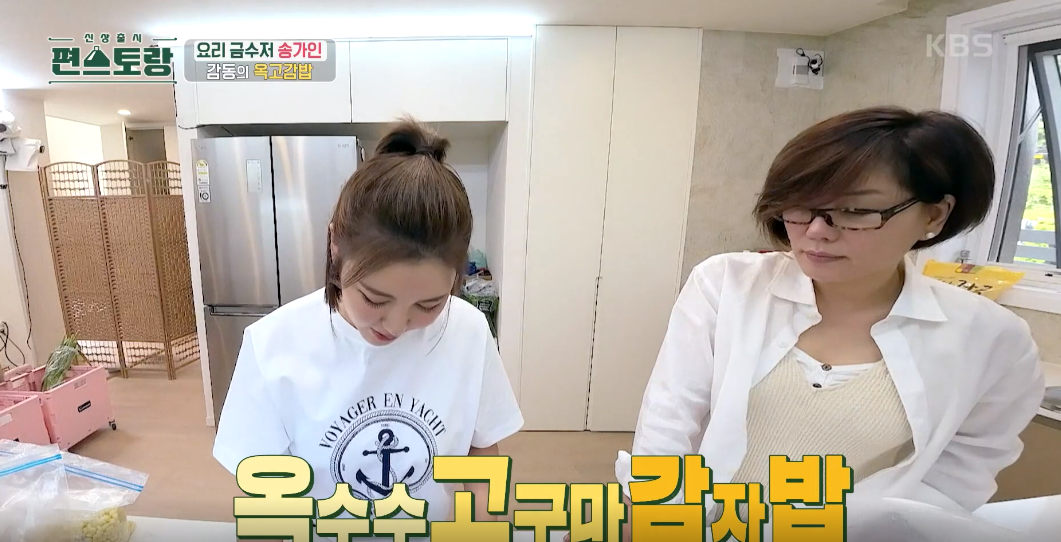 Korean singer, Song ga in