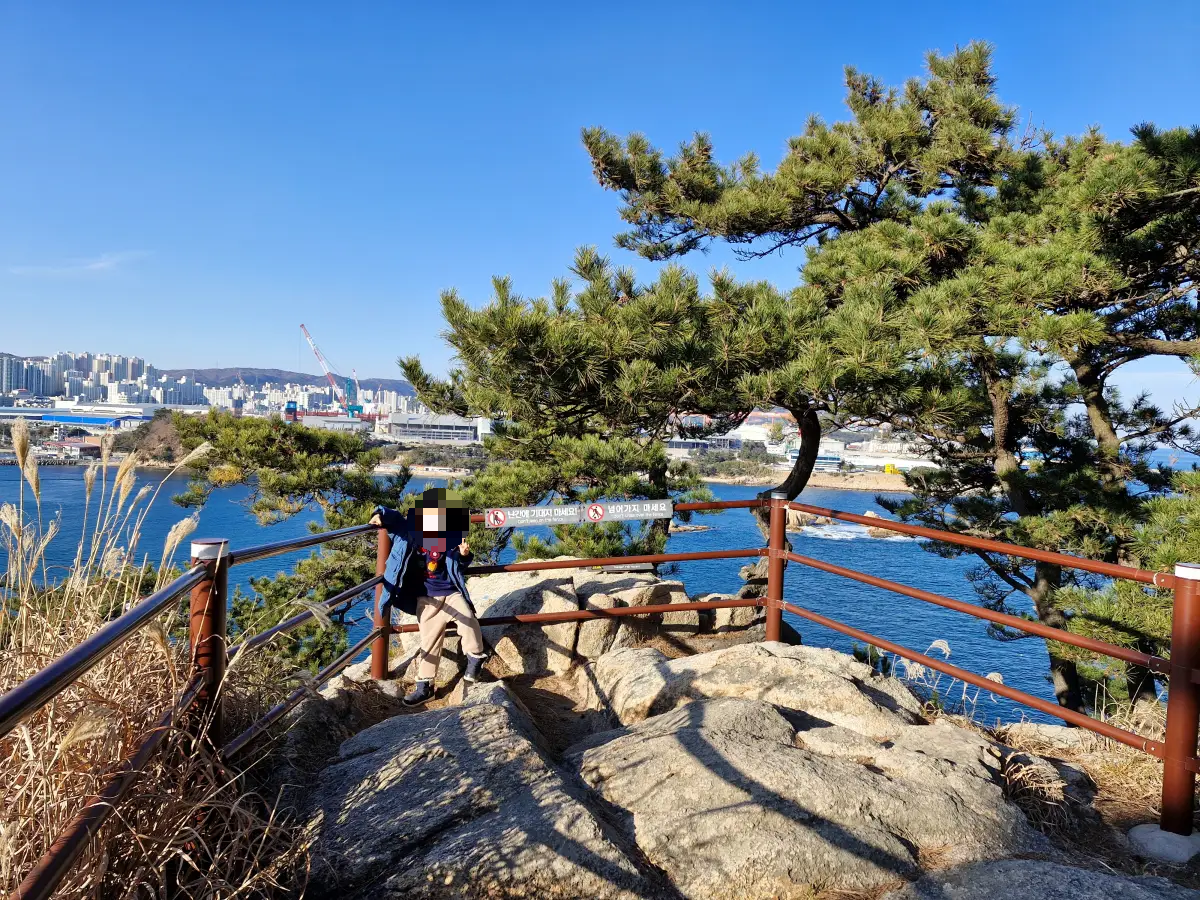 출렁다리 건너 경치