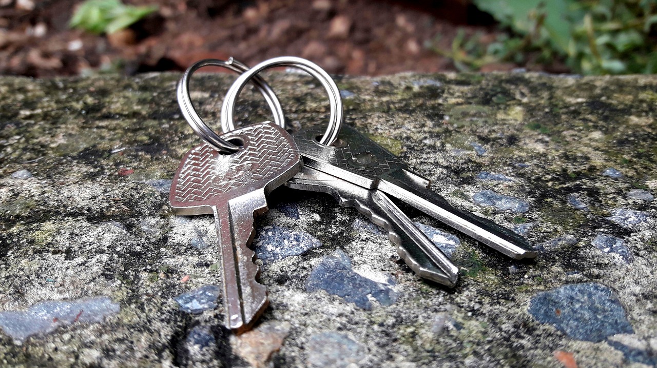 전입신고 온라인으로 하는 법|집을 옮기면 꼭 해야 하는 필수 절차!