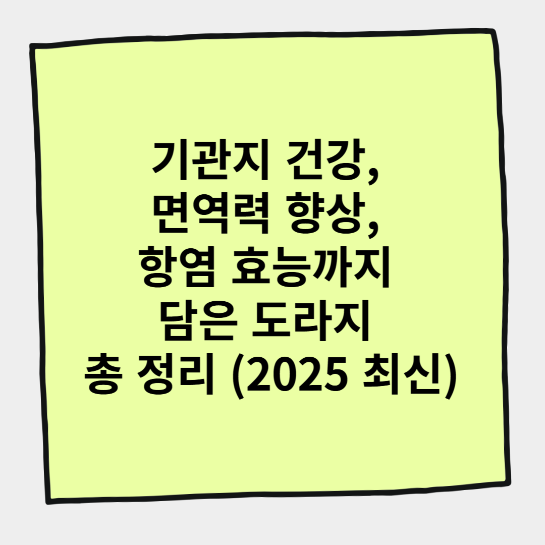 기관지 건강, 면역력 향상, 항염 효능까지 담은 도라지 총 정리 (2025 최신)