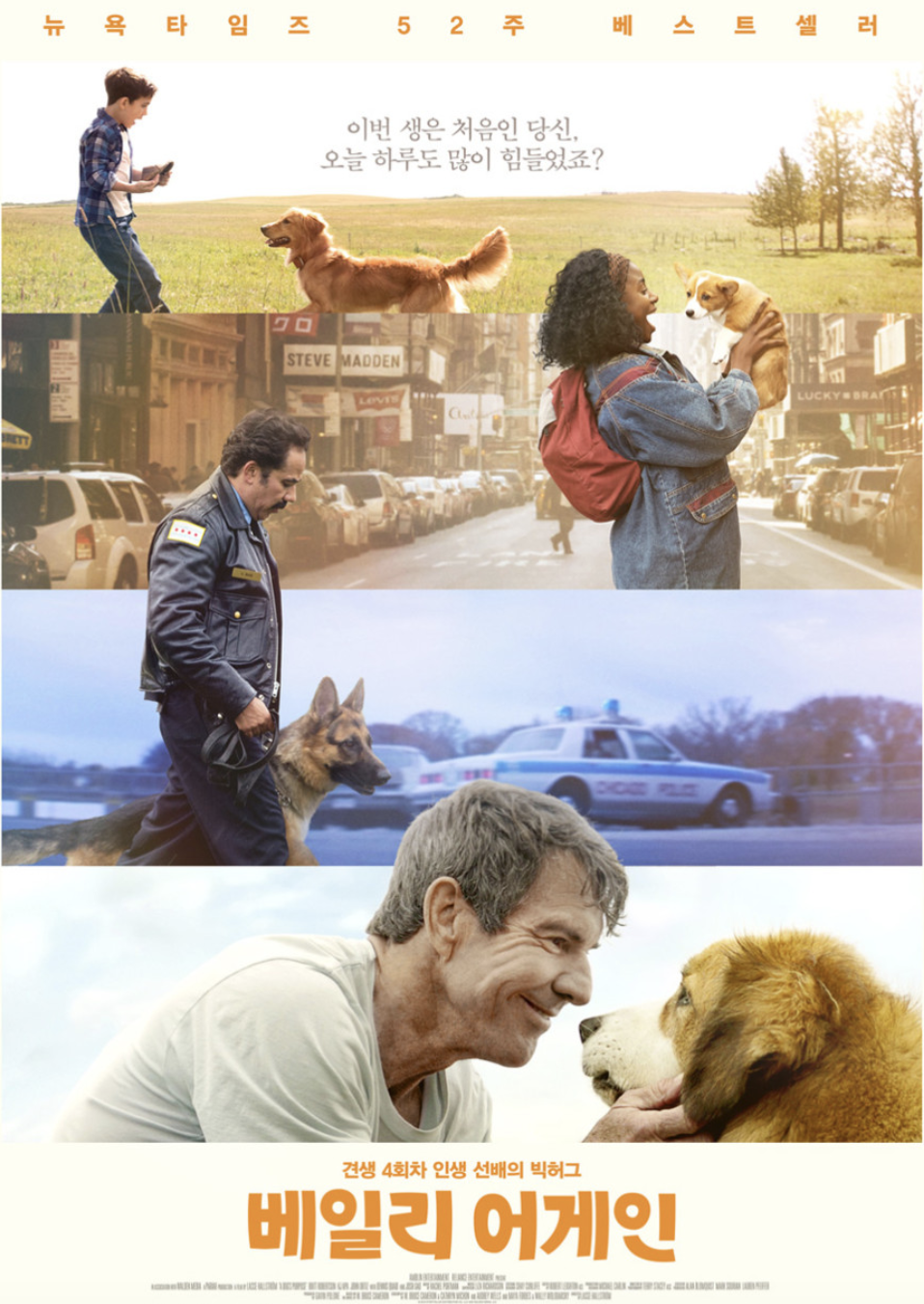 베일리 어게인(A Dog's Purpose)