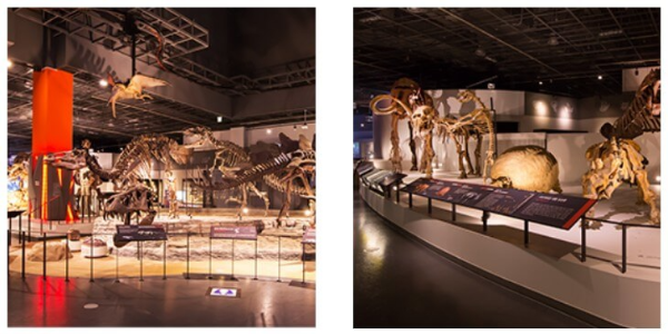 초등학교 겨울 방학 체험 국립과천과학관