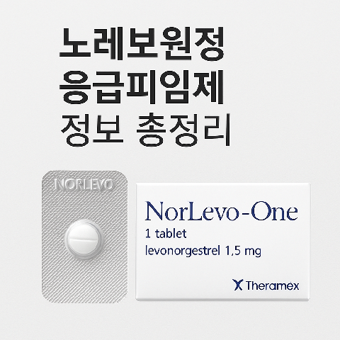 노레보원정 응급피임제 정보 총정리
