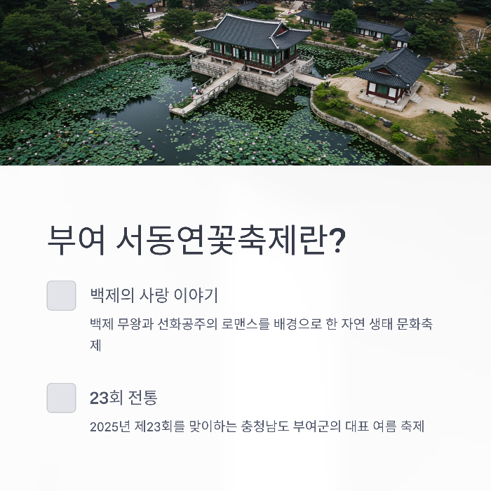 부여 연꽃축제 야간