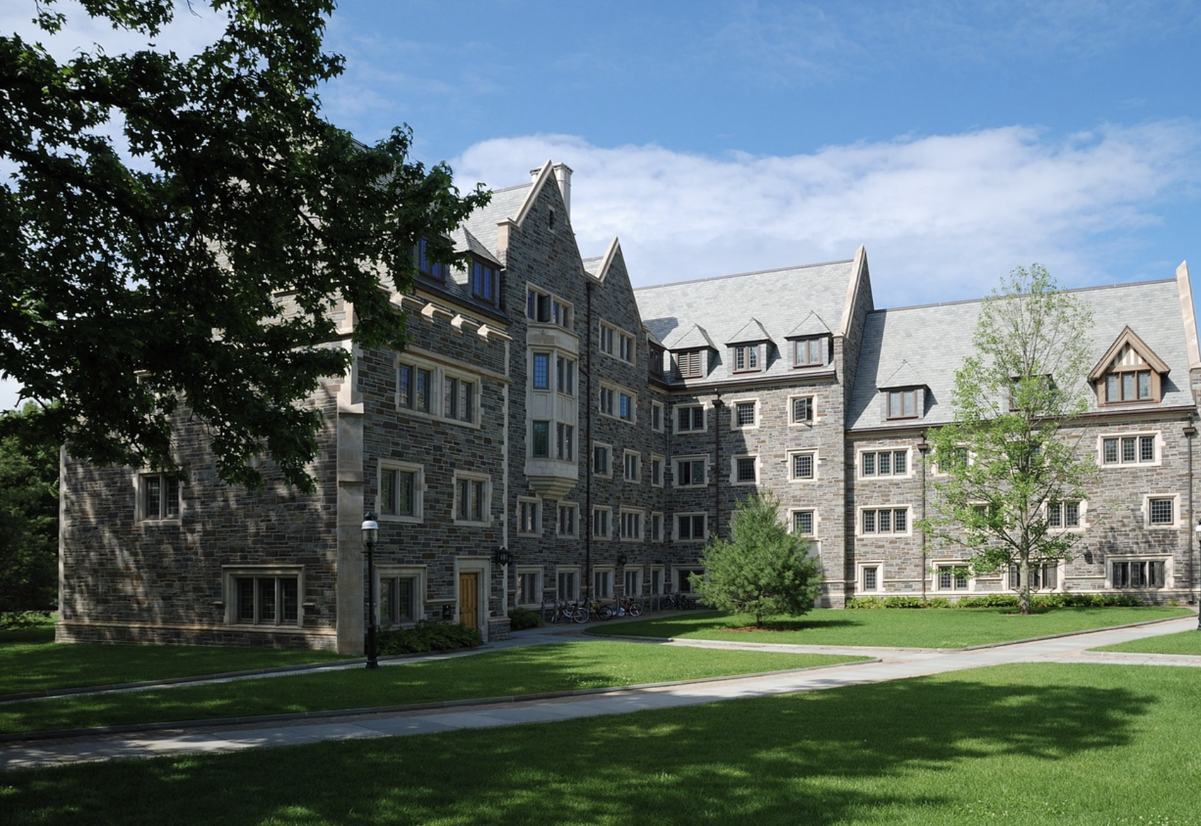 성균관대 경영학과 기숙사 생활 vs 자취, 어떤 선택?