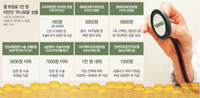 🌟 저렴한 미니보험으로 일상 속 위험 대비하기