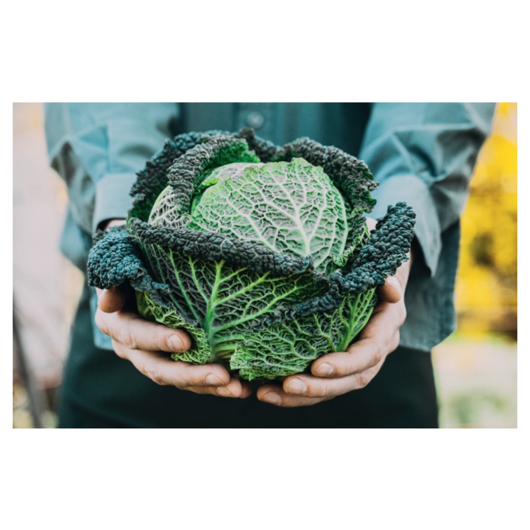 골다공증과 관련된 사진입니다.