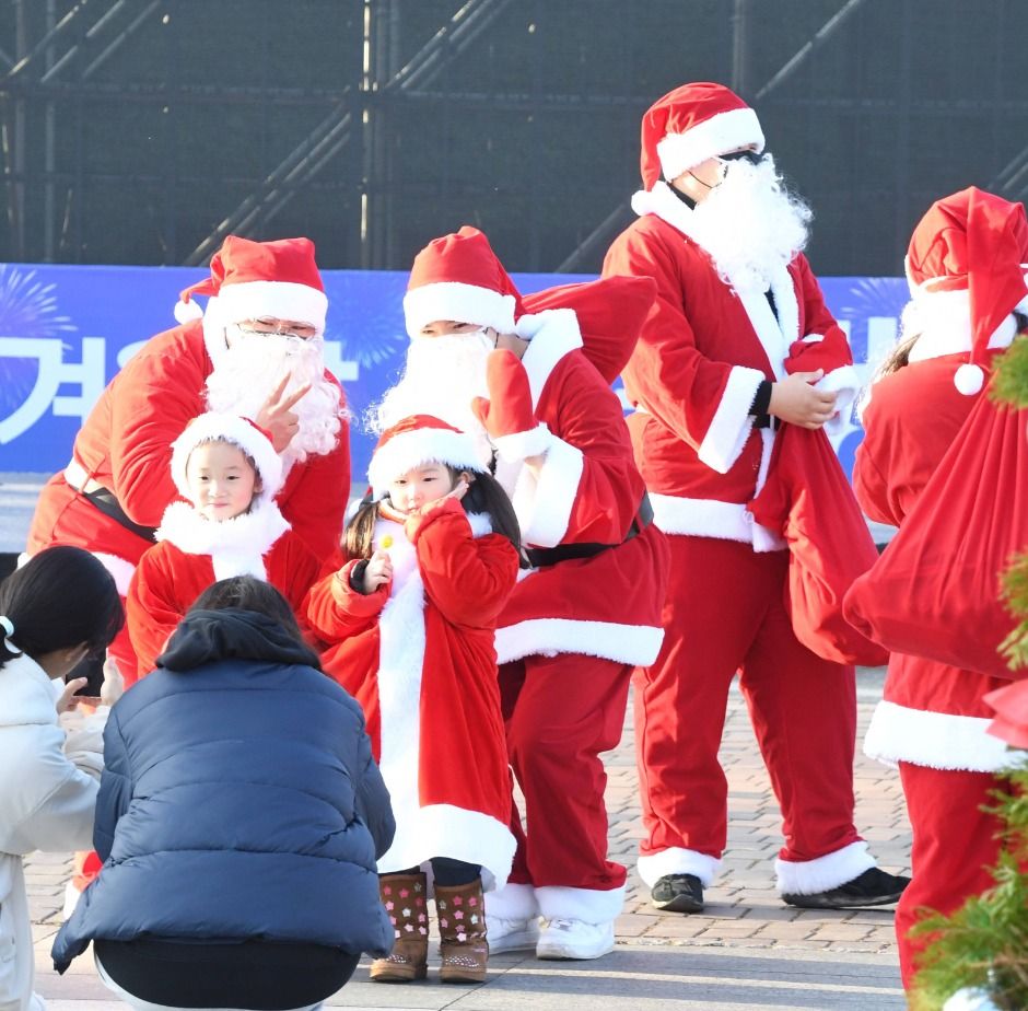 함평 겨울빛축제 — 함평의 밤, 빛의 향연