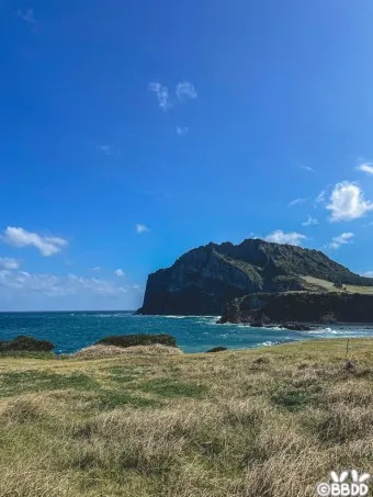 성산포항 여객터미널 우도 배시간표 배편 예약 요금_24
