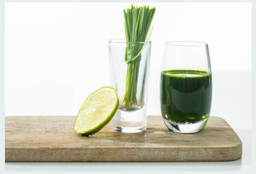 면역력 높이는 영양제 추천 BEST 5