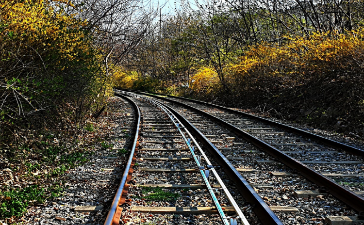 가평 레일바이크