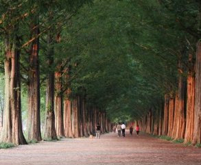 서울 지하철 근교 숲길 트레킹 코스 추천 TOP 5