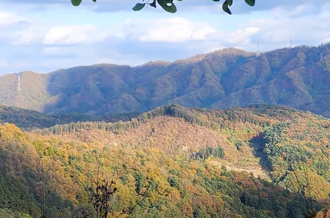 경기도 드라이브코스 추천