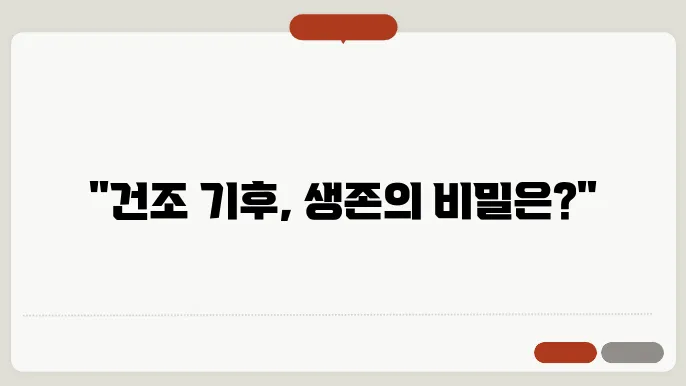 건조 기후 온도 변화