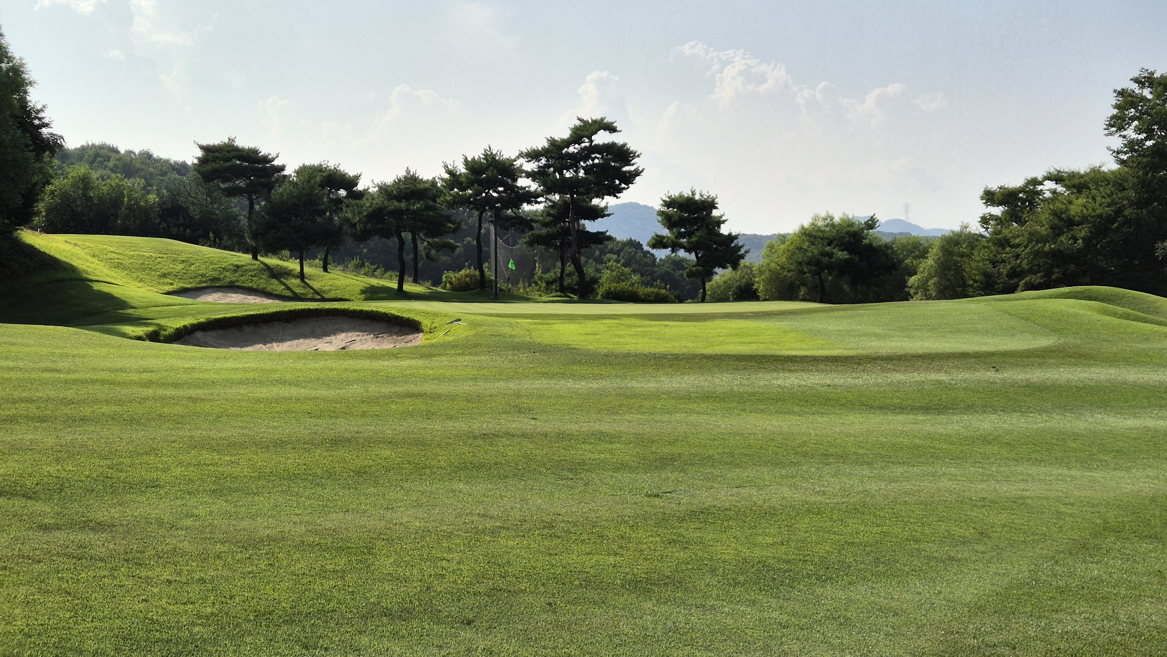 골프존카운티 안성H