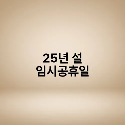 25년 설 임시공휴일