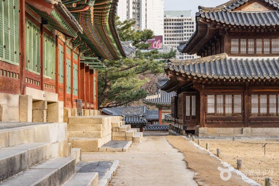 서울썸머비치 페스티벌